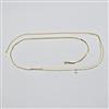 Western Delicate Belt
