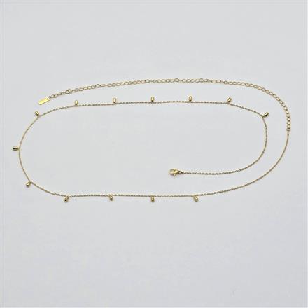 Western Delicate Belt