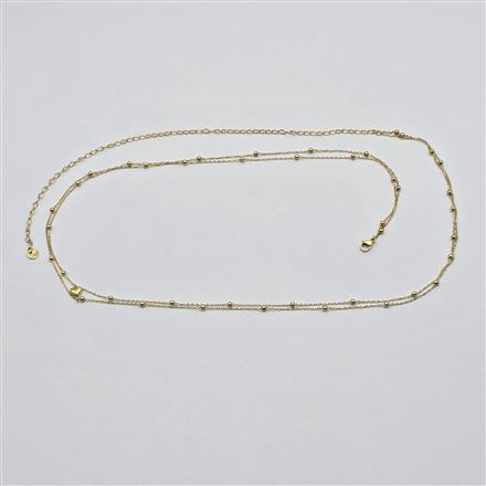 Western Delicate Belt