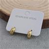 Western Anti Tarnish Steel Earring