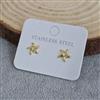 Western Anti Tarnish Steel Earring