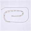 Western Delicate Belt