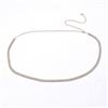 Western Delicate Belt