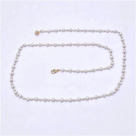 Western Delicate Belt