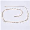 Western Delicate Belt
