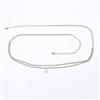 Western Delicate Belt