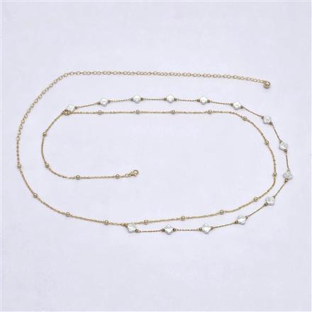 Western Delicate Belt