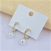 Western Earring
