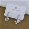 Western Earring