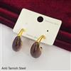 Western Anti Tarnish Steel Earring