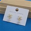 Western Delicate Earring