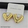 Western Anti Tarnish Steel Earring
