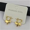 Western Anti Tarnish Steel Earring