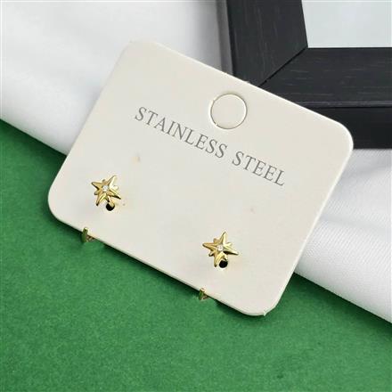 Western Anti Tarnish Steel Earring