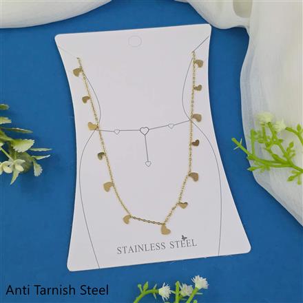 Western Anti Tarnish Steel Belt
