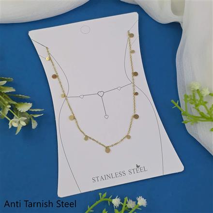Western Anti Tarnish Steel Belt