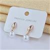 Western Delicate Earring