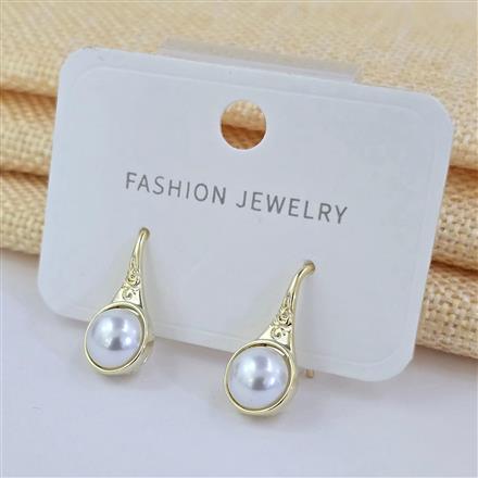 Western Delicate Earring