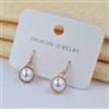 Western Delicate Earring