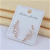 Western Climber Earring