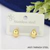 Western Anti Tarnish Steel Earring